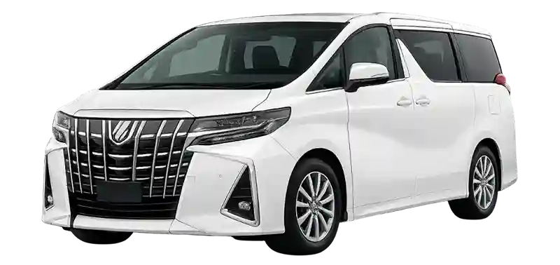 top trend cars